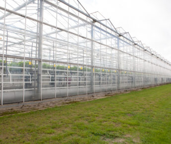 Gebruik alternatieve energie stijgt onder tuinders