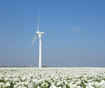 ‘Meeste windmolens in de polder, minste in Limburg’
