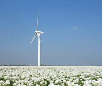 Sabe subsidie om samen te leren over duurzame landbouw