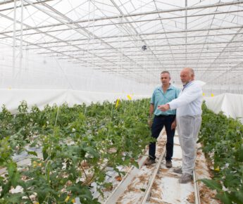 Welke kanalen en bronnen zijn het belangrijkst bij het aankoopproces van boeren en tuinders?