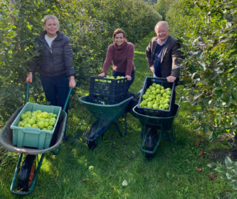 Voedselbanken oogsten met vrijwilligers appels!