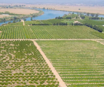 Extra duurzaamheids- en ruimtelijk beleid kan 8 miljoen hectare landbouwgrond redden Extra duurzaamheids- en ruimtelijk beleid kan 8 miljoen hectare landbouwgrond redden