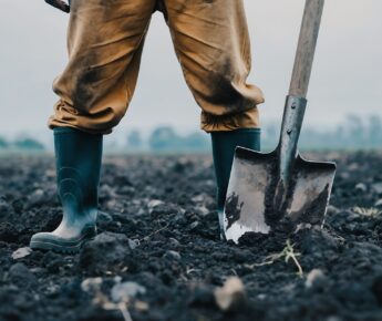 Vast in de klei, vast in de regels​…